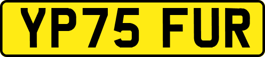 YP75FUR