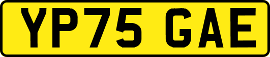 YP75GAE