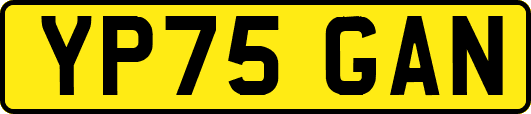YP75GAN