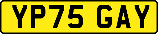 YP75GAY