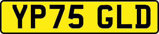 YP75GLD