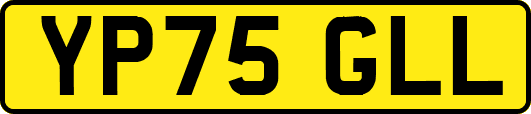 YP75GLL