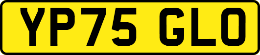 YP75GLO