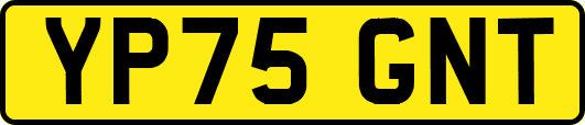 YP75GNT