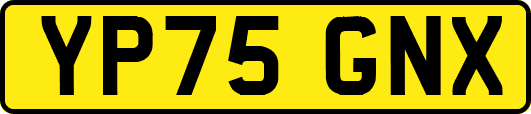 YP75GNX