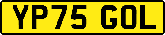 YP75GOL