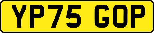 YP75GOP