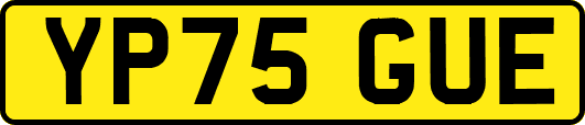 YP75GUE