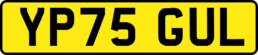 YP75GUL