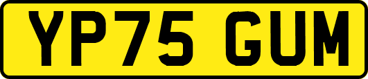 YP75GUM