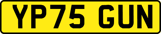 YP75GUN