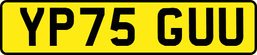 YP75GUU