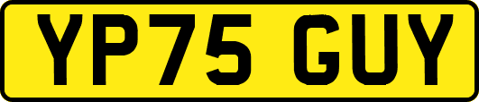 YP75GUY