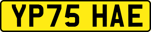 YP75HAE