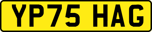 YP75HAG