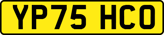 YP75HCO