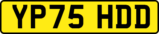 YP75HDD