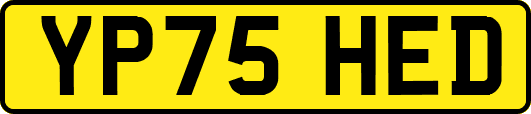 YP75HED