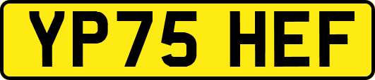 YP75HEF