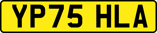 YP75HLA