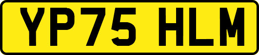YP75HLM