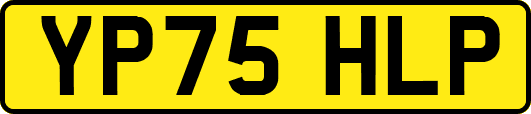 YP75HLP