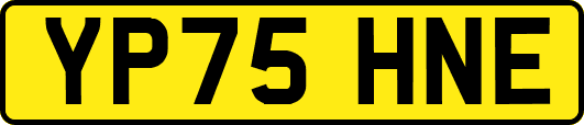 YP75HNE