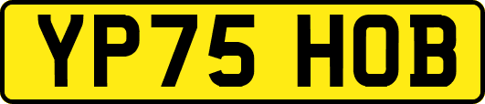 YP75HOB