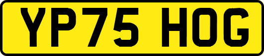 YP75HOG