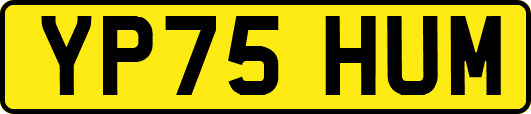 YP75HUM