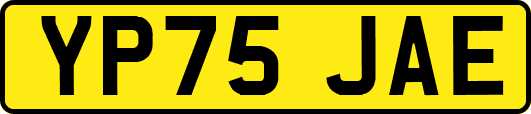 YP75JAE