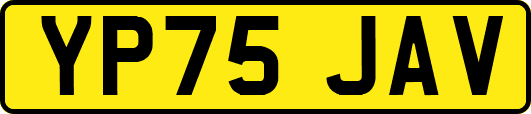 YP75JAV