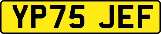 YP75JEF