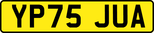 YP75JUA
