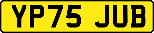 YP75JUB