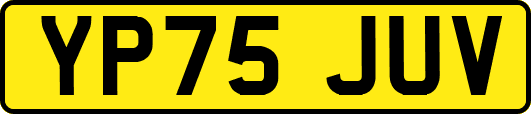 YP75JUV