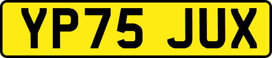 YP75JUX