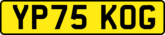 YP75KOG