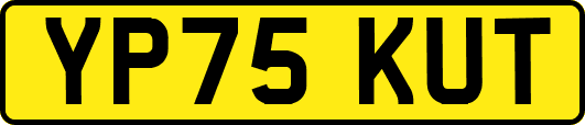 YP75KUT