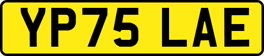YP75LAE