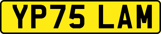 YP75LAM