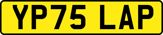 YP75LAP