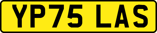YP75LAS