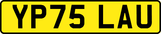 YP75LAU
