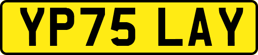 YP75LAY