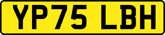 YP75LBH
