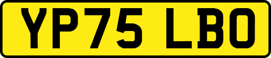 YP75LBO