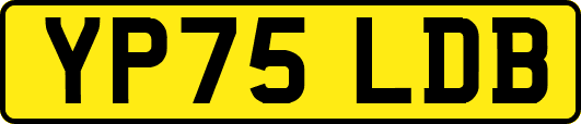 YP75LDB