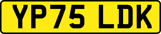YP75LDK