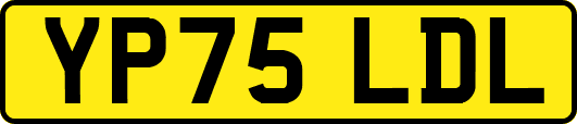 YP75LDL